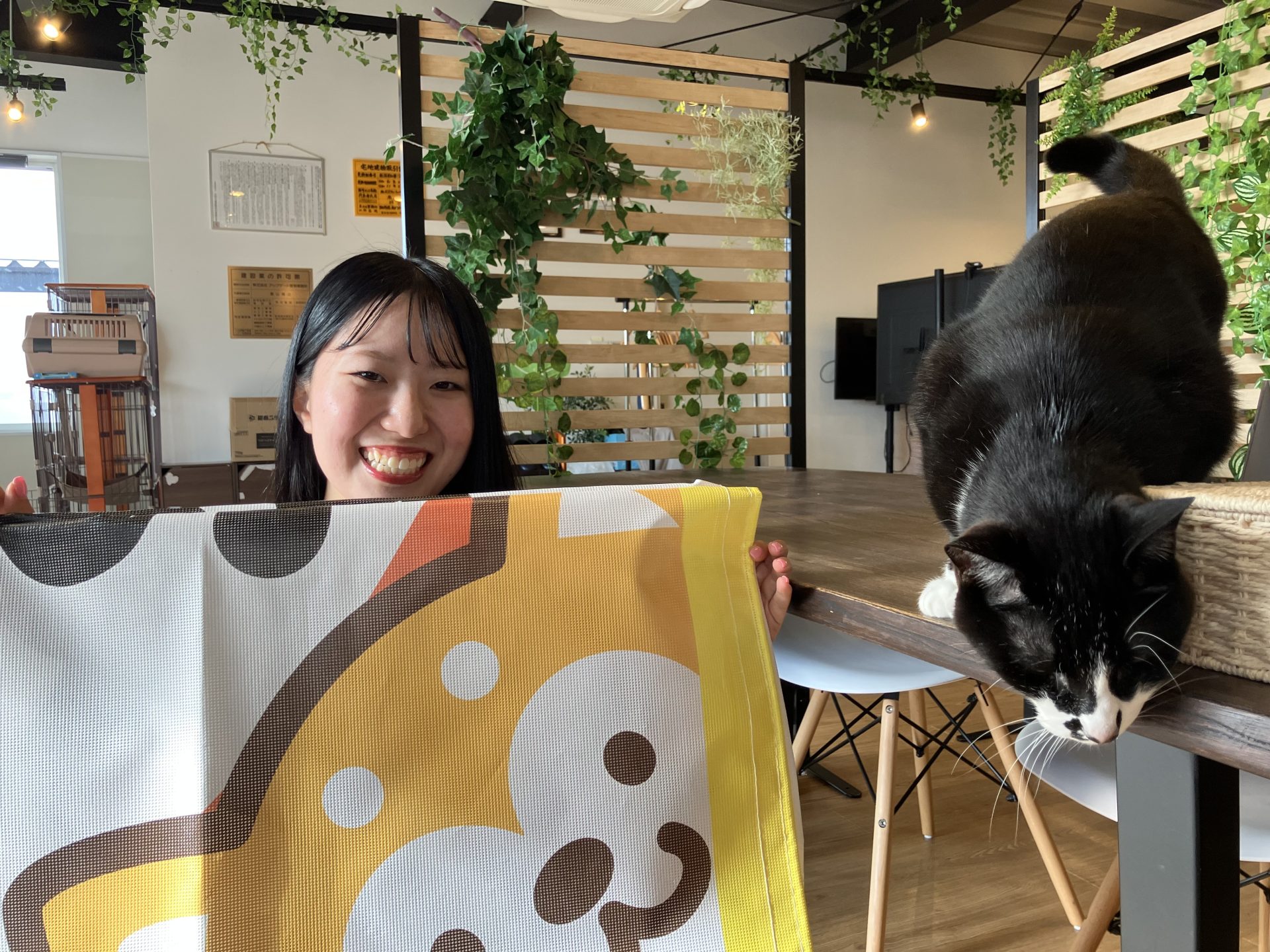 【営業：知野見】平屋しげる設置しました！